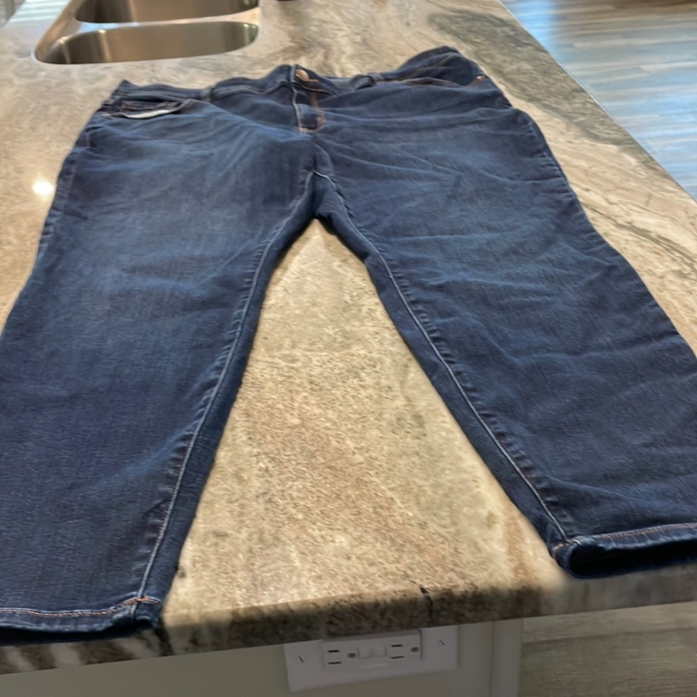Lane Bryant Jeans
